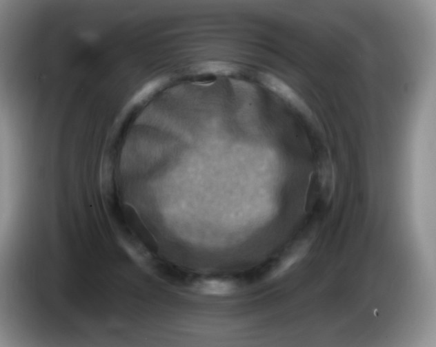 X0000083990352200703091850