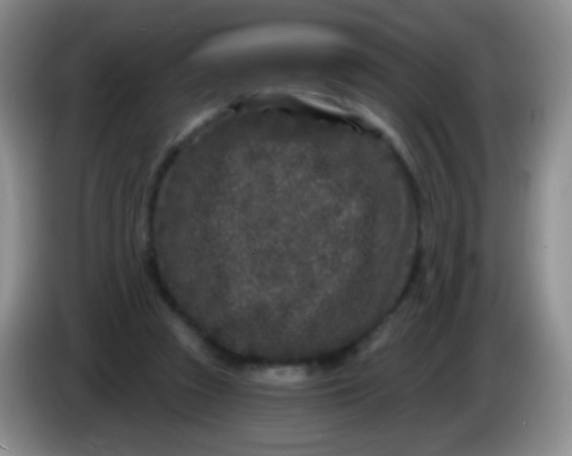 X0000083990353200703091850