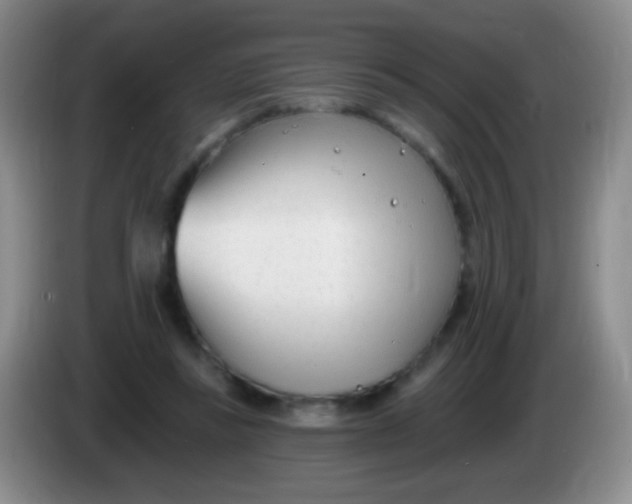 X0000083990355200703091850