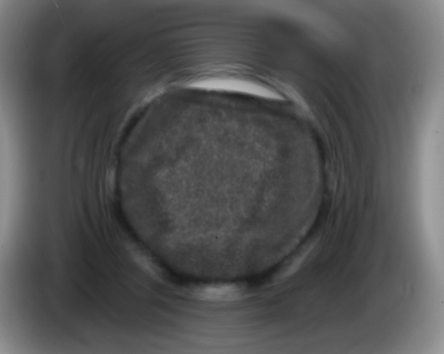 X0000083990357200703091850