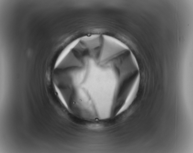 X0000083990358200703091850