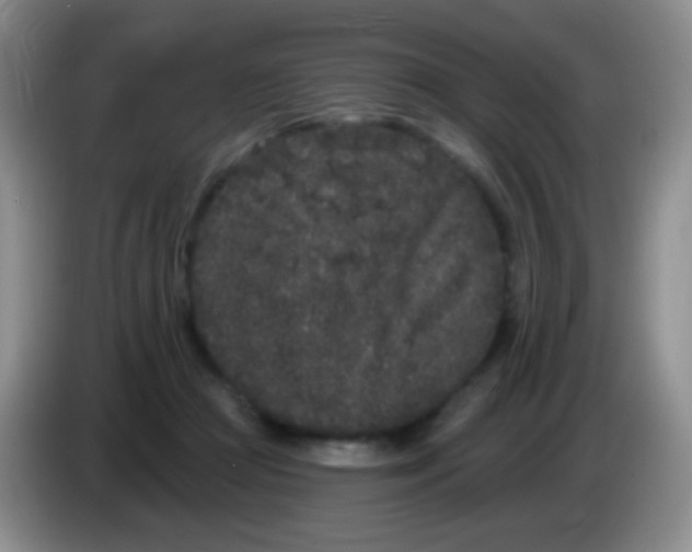 X0000083990361200703091850