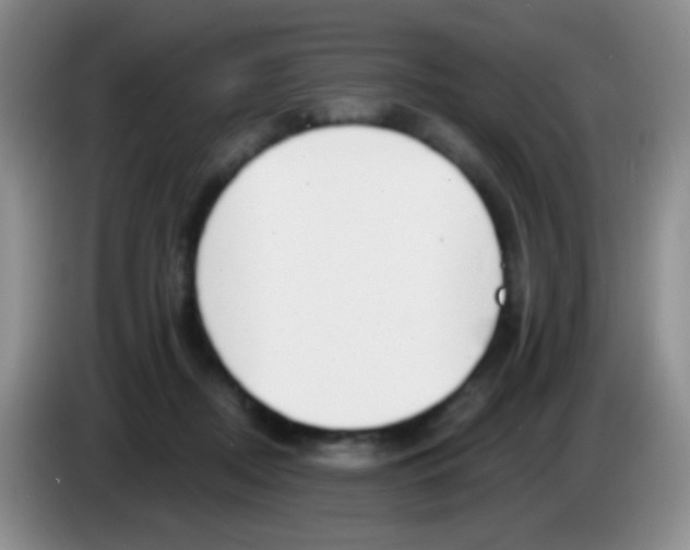 X0000083990362200703091850