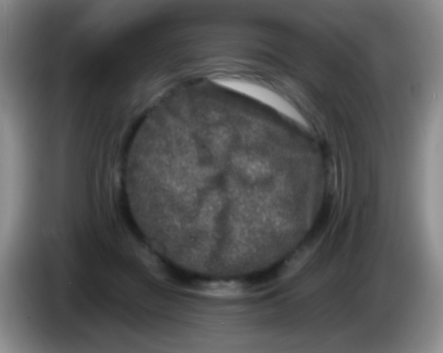 X0000083990363200703091850