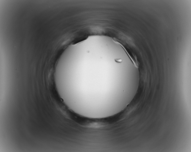 X0000083990364200703091850