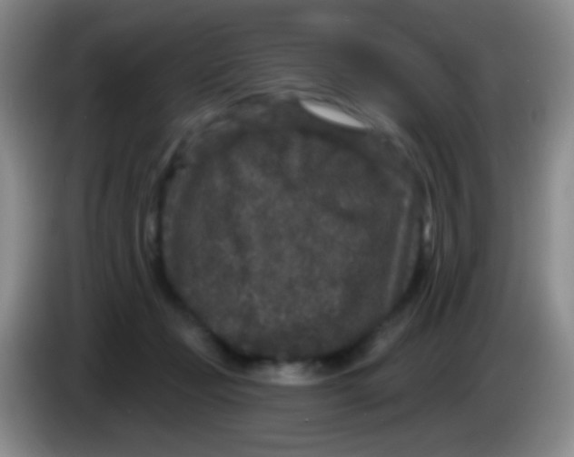 X0000083990365200703091850