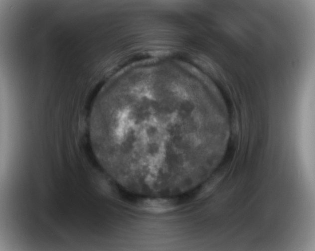 X0000083990367200703091850