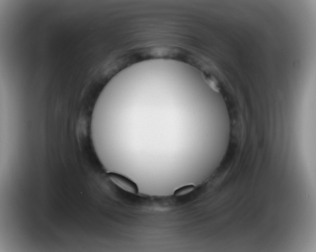 X0000083990368200703091850