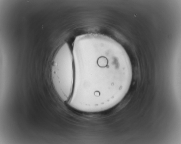 X0000083990370200703091850