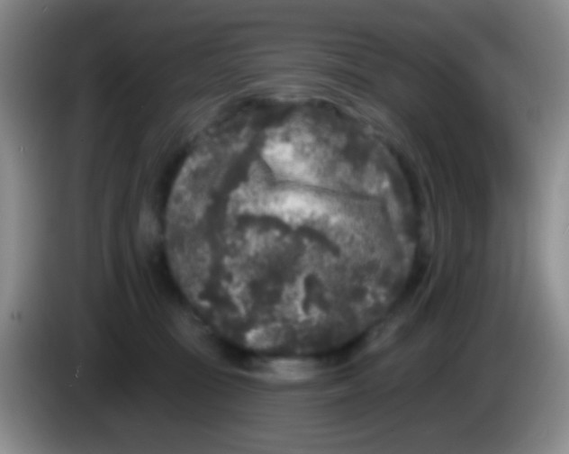 X0000083990371200703091850