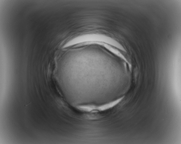 X0000083990372200703091850