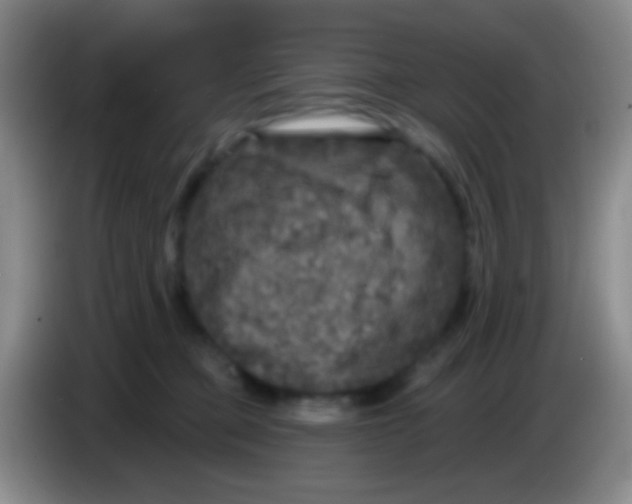 X0000083990373200703091850