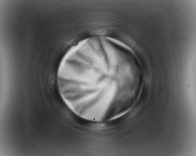 X0000083990374200703091850