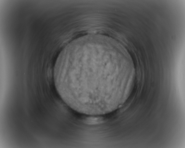 X0000083990375200703091850