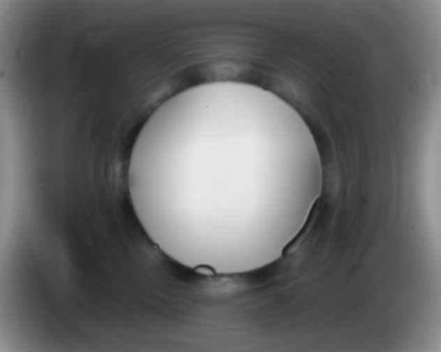 X0000083990378200703091850