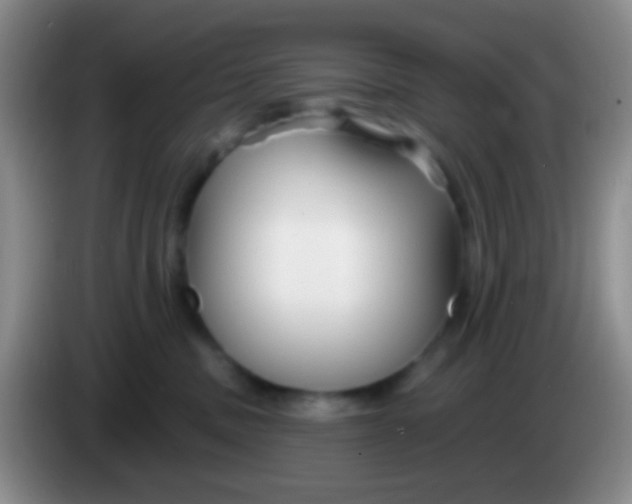 X0000083990379200703091850