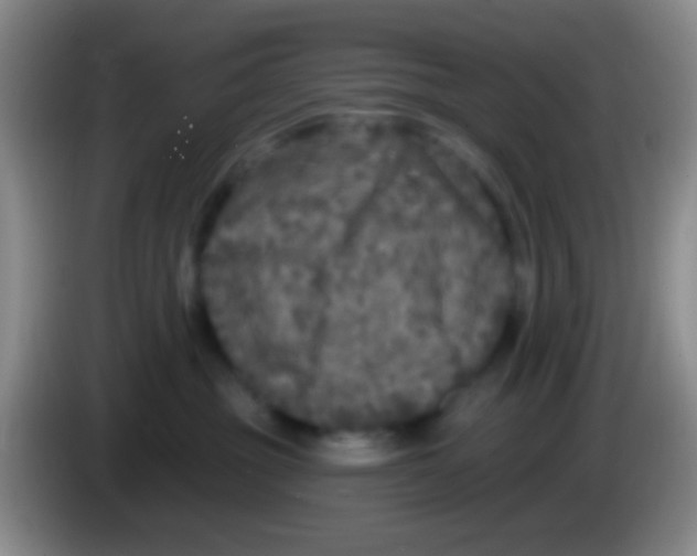 X0000083990381200703091850