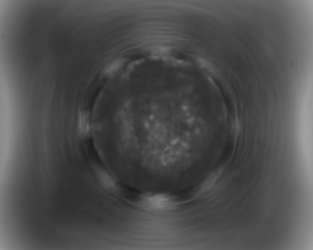 X0000083990383200703091850