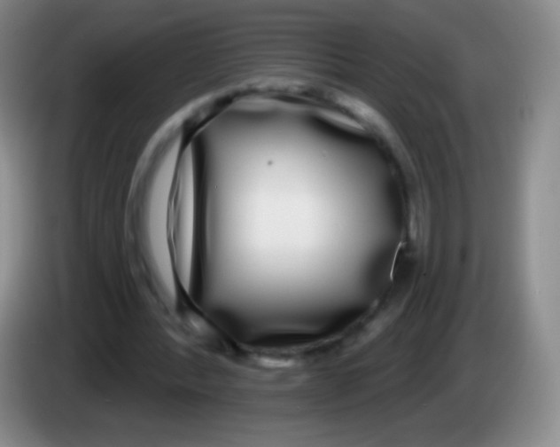 X0000083990388200703091850