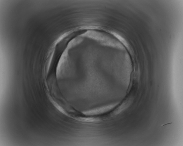 X0000083990389200703091850