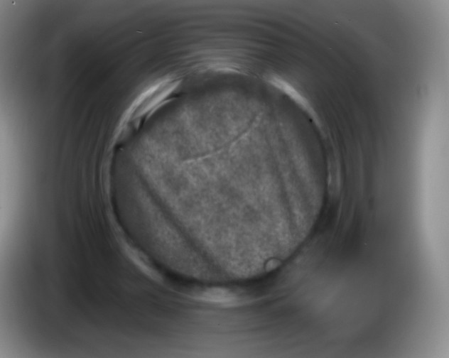 X0000083990390200703091849