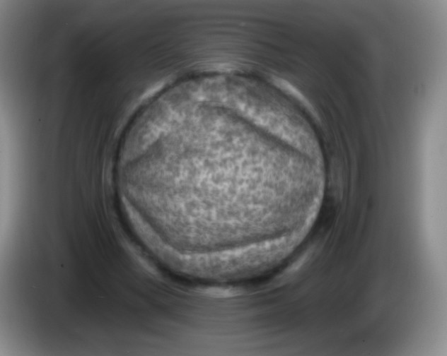 X0000083990394200703091849