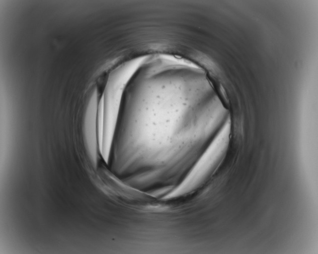 X0000083990397200703091849