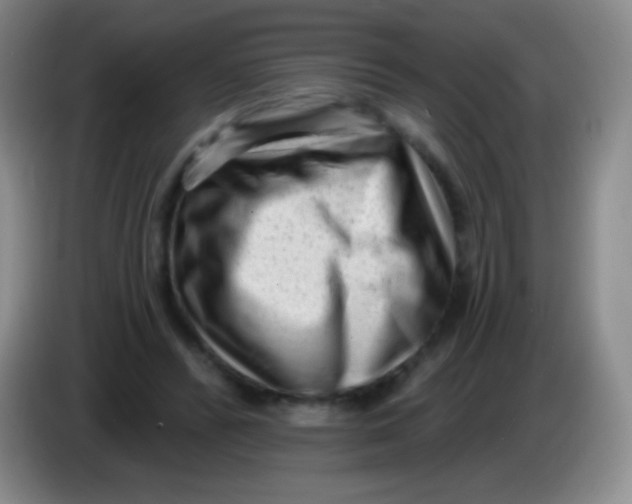 X0000083990400200703091849