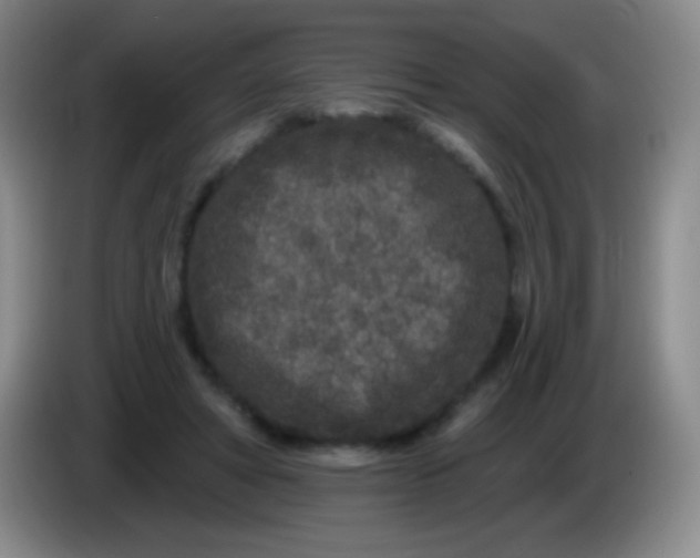 X0000083990402200703091849