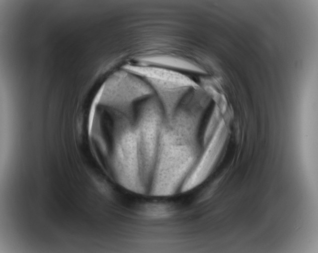 X0000083990404200703091849