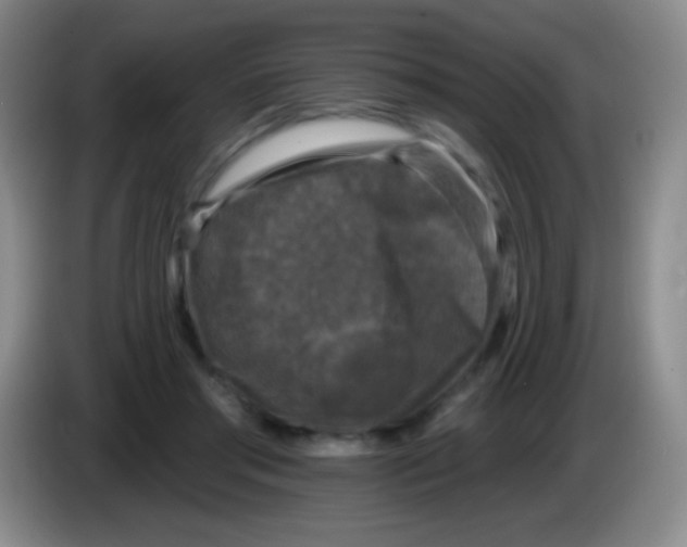 X0000083990405200703091849