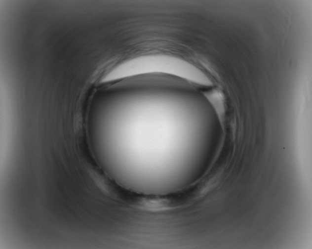 X0000083990407200703091849