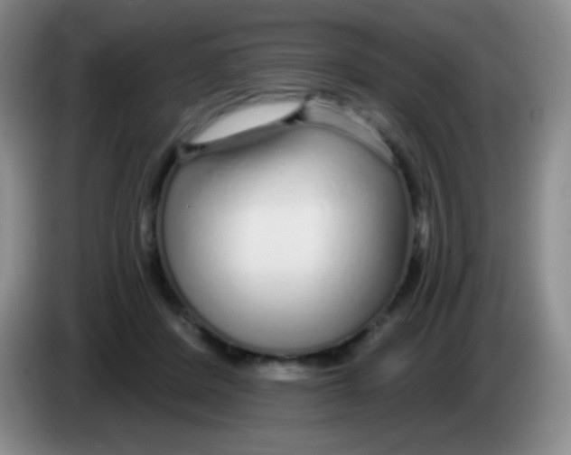 X0000083990408200703091849