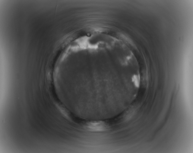 X0000083990410200703091849