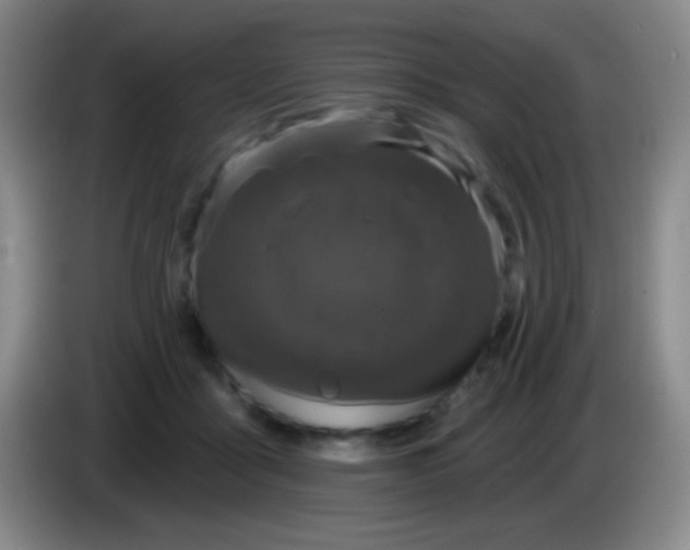 X0000083990411200703091849