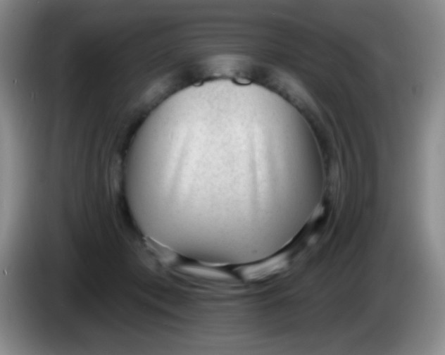 X0000083990413200703091849