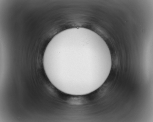 X0000083990414200703091849