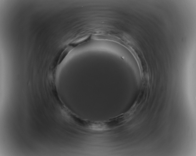 X0000083990415200703091849