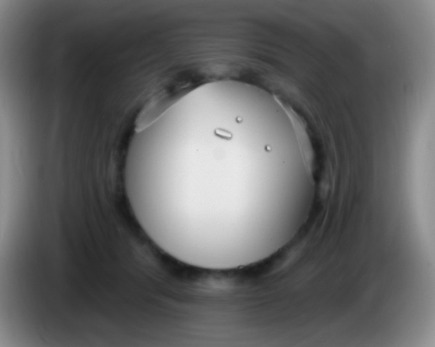 X0000083990416200703091849