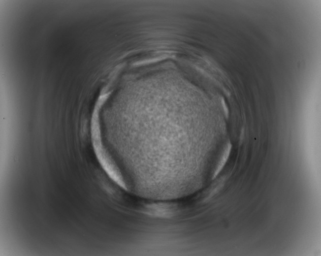 X0000083990417200703091849