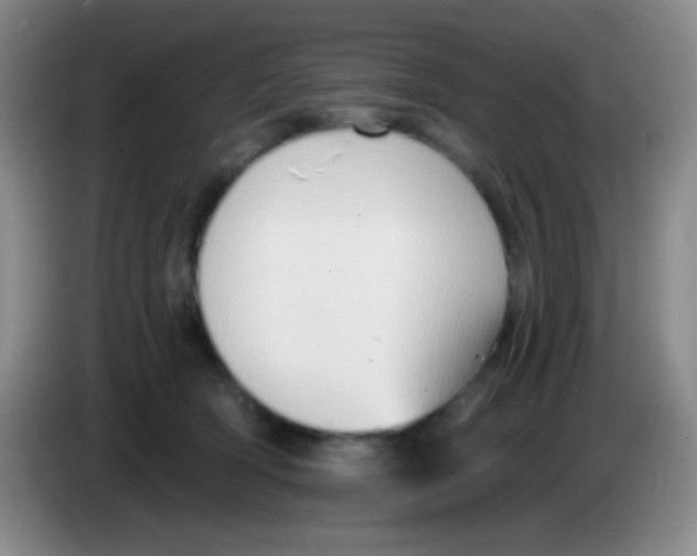 X0000083990418200703091849