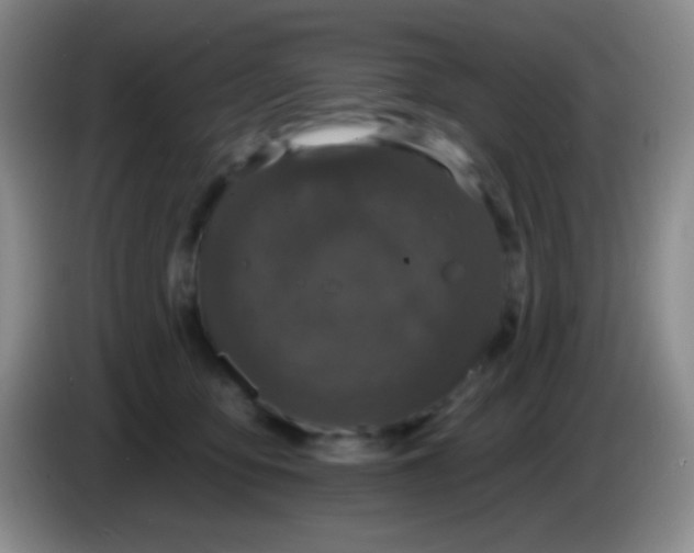 X0000083990419200703091849