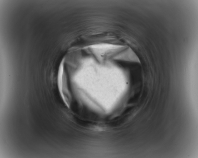 X0000083990420200703091849