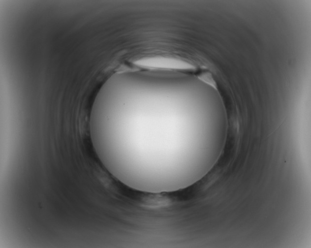 X0000083990421200703091849