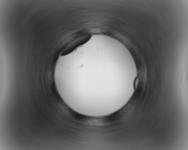 X0000083990422200703091849