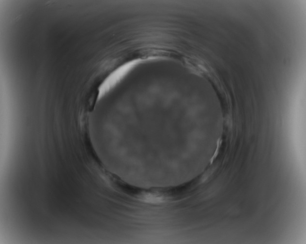 X0000083990423200703091849