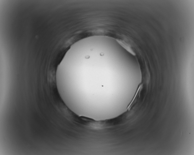 X0000083990425200703091849