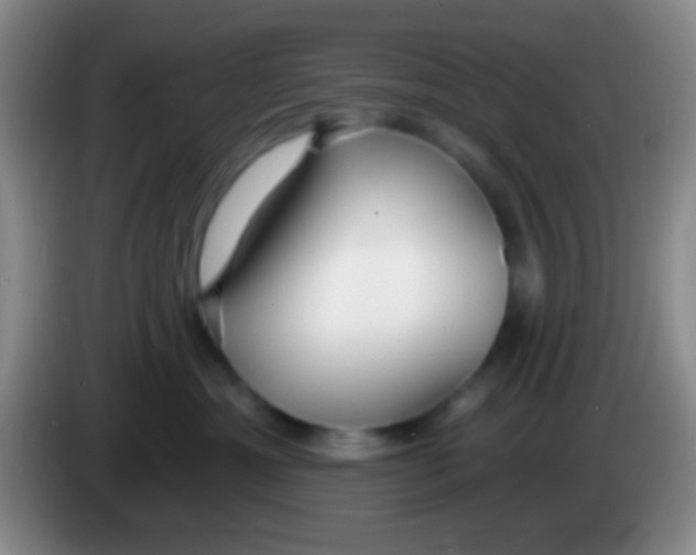 X0000083990429200703091849