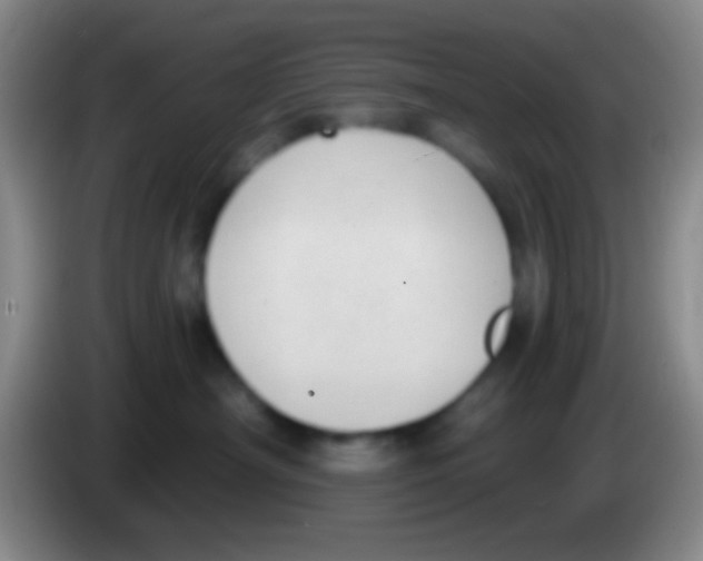 X0000083990430200703091849