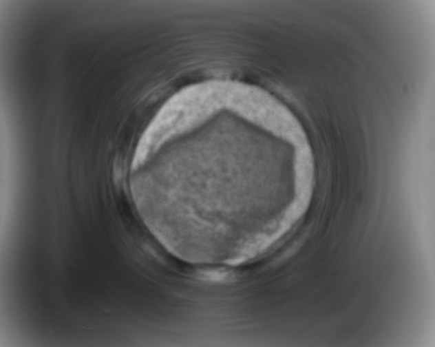 X0000083990432200703091849